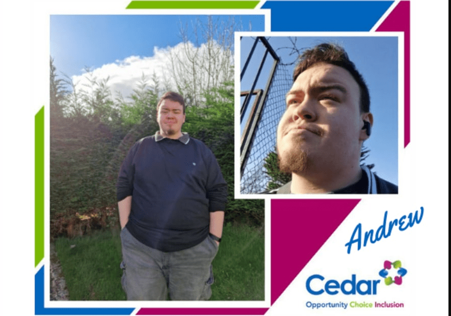 working at the Cedar Foundation: Skillset service